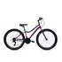 Kép 2/4 - Capriolo Diavolo 600 26" Lányka 14" MTB kerékpár 